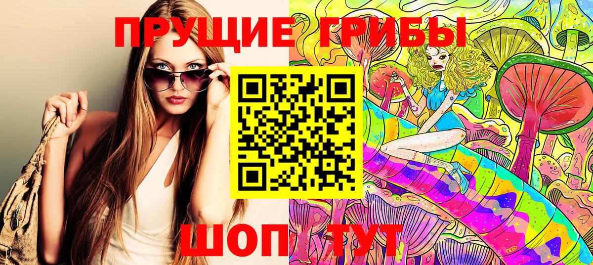 Всеволожск  Галлюциногенные грибы MAGIC MUSHROOMS  Псилоцибиновые грибы Psilocybe  Вход с VPN 